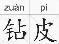 钻皮的拼音
