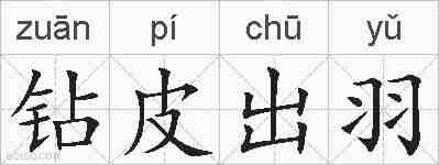 钻皮出羽的拼音