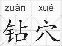 钻穴的拼音