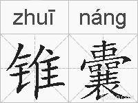锥囊的拼音