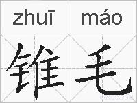 锥毛的拼音