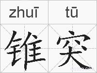 锥突的拼音