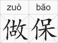 做保的拼音