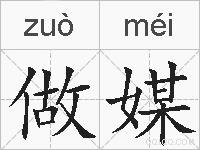 做媒的拼音