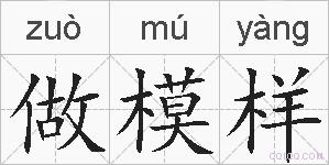 做模样的拼音