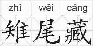 雉尾藏的拼音
