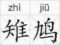 雉鸠的拼音