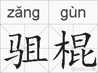 驵棍的拼音