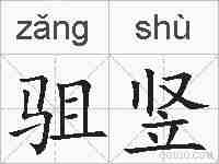驵竖的拼音