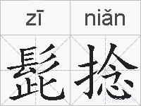 髭捻的拼音