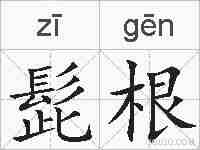 髭根的拼音