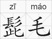 髭毛的拼音