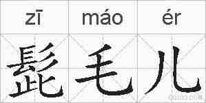 髭毛儿的拼音