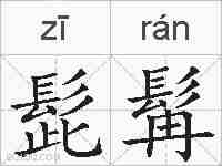 髭髯的拼音