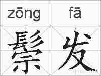 鬃发的拼音