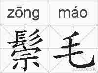 鬃毛的拼音