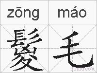 鬉毛的拼音