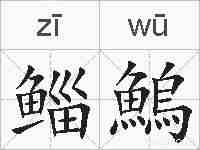 鲻鰞的拼音