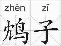 鸩子的拼音