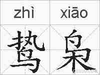 鸷枭的拼音