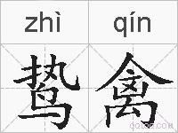 鸷禽的拼音