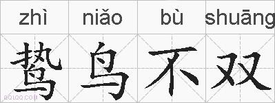 鸷鸟不双的拼音