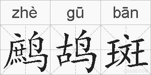 鹧鸪斑的拼音