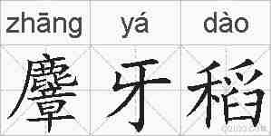 麞牙稻的拼音
