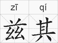 兹其的拼音