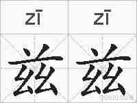 兹兹的拼音
