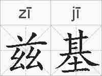 兹基的拼音