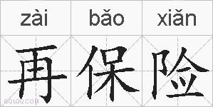 再保险的拼音