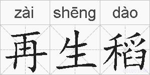 再生稻的拼音