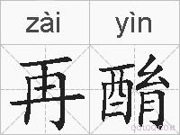 再酳的拼音