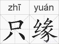 只缘的拼音