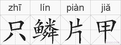只鳞片甲的拼音