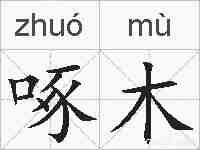 啄木的拼音