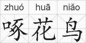 啄花鸟的拼音