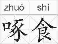 啄食的拼音