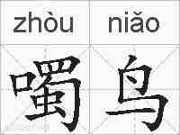 噣鸟的拼音
