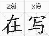 在写的拼音