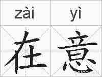 在意的拼音