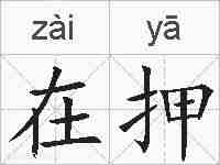 在押的拼音