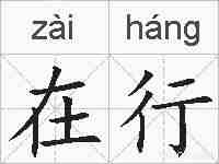 在行的拼音