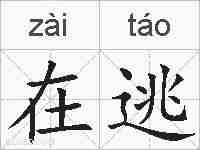 在逃的拼音