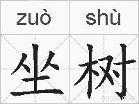 坐树的拼音