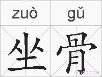 坐骨的拼音
