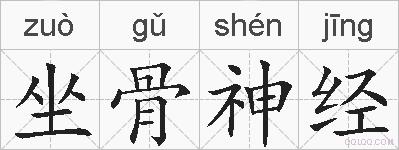 坐骨神经的拼音