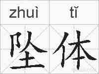坠体的拼音