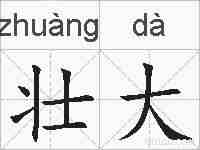 壮大的拼音